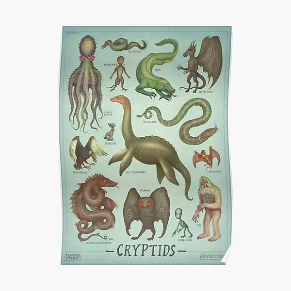 Cryptids - Cryptozoology species Poster