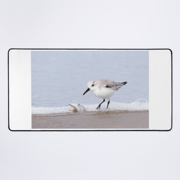 Item preview, Sanderling designed and sold by Margriet Photography .