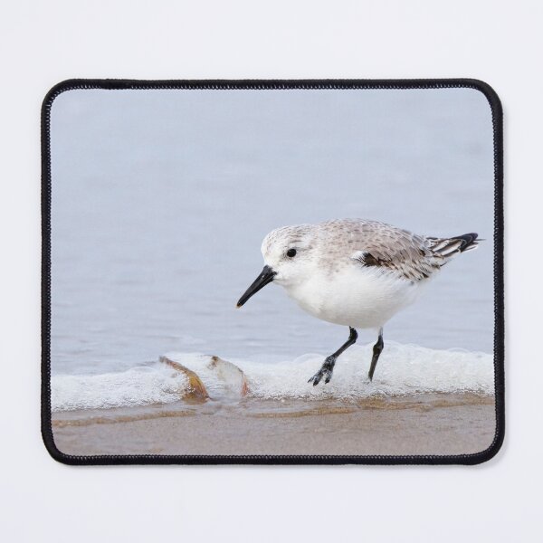 Item preview, Sanderling designed and sold by Margriet Photography .