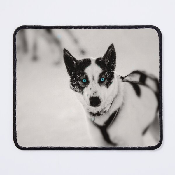 Item preview, Piercing Blue Eyes designed and sold by JWebberPhotos.