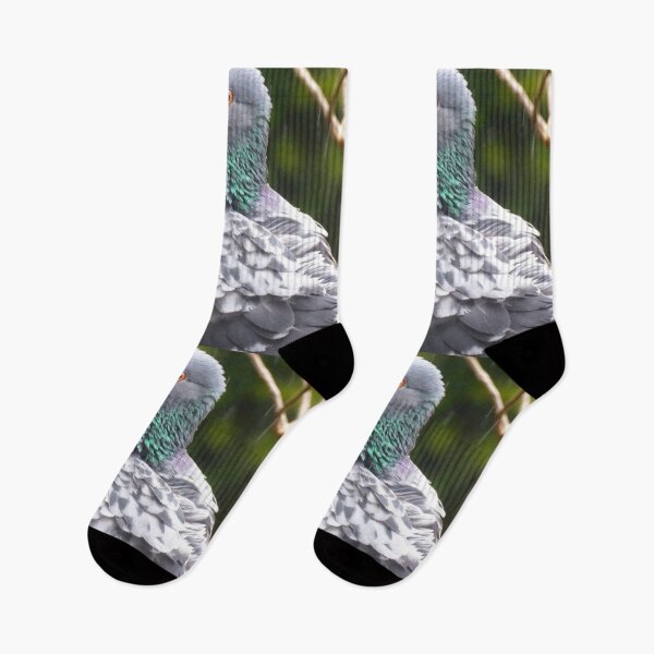 Item preview, Pigeon in the rain photograph  designed and sold by LynseysArtShop.