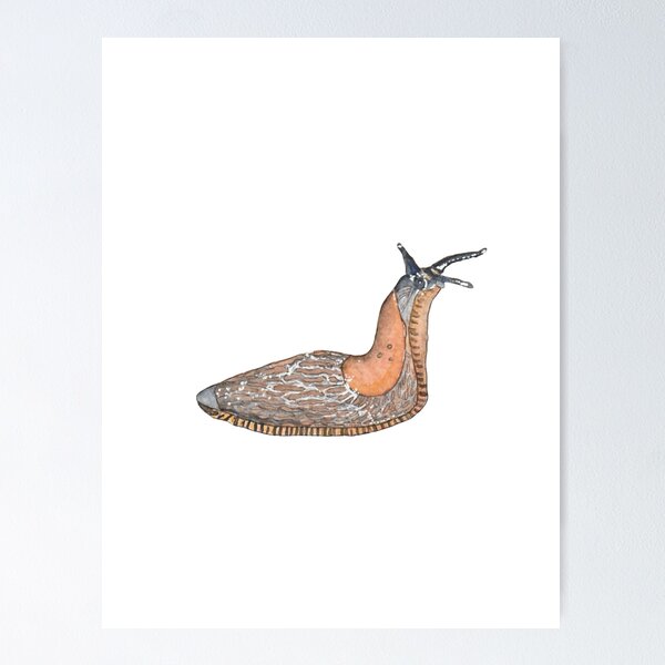 Item preview, Western Dusky Slug Watercolour  designed and sold by RustyHen.