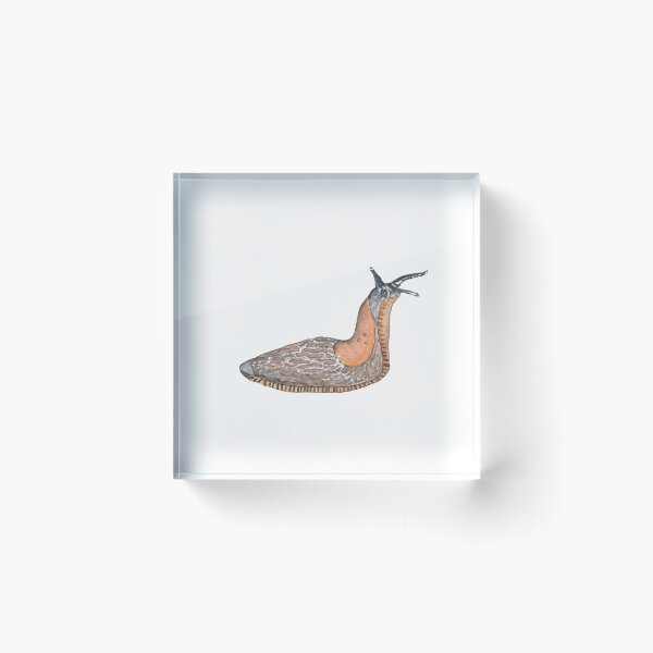 Item preview, Western Dusky Slug Watercolour  designed and sold by RustyHen.