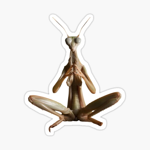 Item preview, Zen Praying Mantis: Yoga Instructor designed and sold by yourfavdraw.