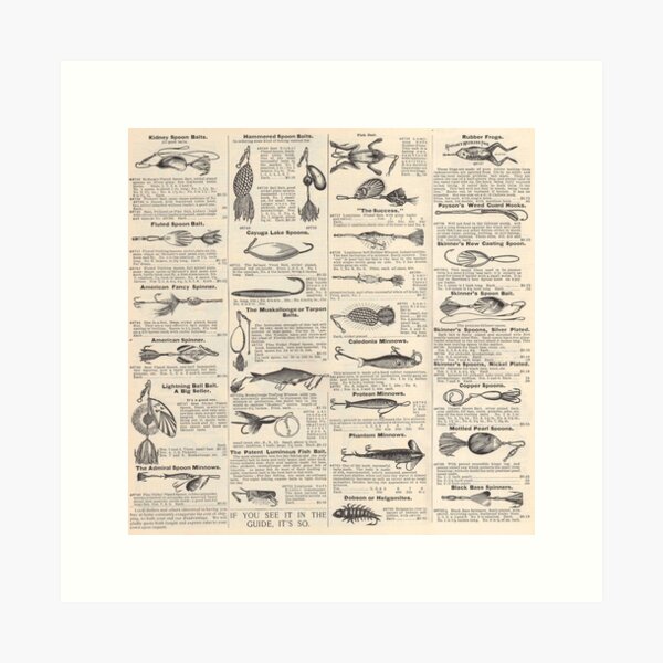 Vintage Rainbow Trout Fly Fishing Lure Patent Game Fish Identification  Chart Leggings by Atlantic Coast Arts and Paintings