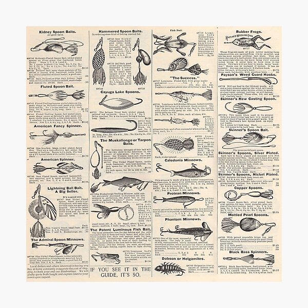 Vintage Fishing Lure Illustration Photographic Print for Sale by ElleMars