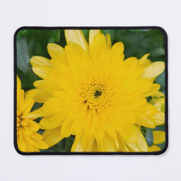 Item preview, Mums 8 designed and sold by Abeink1030.