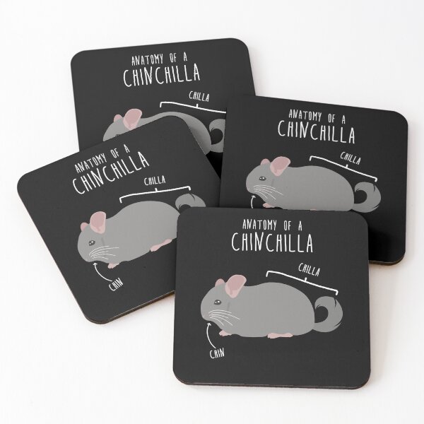 Item preview, Chinchilla Anatomy designed and sold by Clara Hollins.