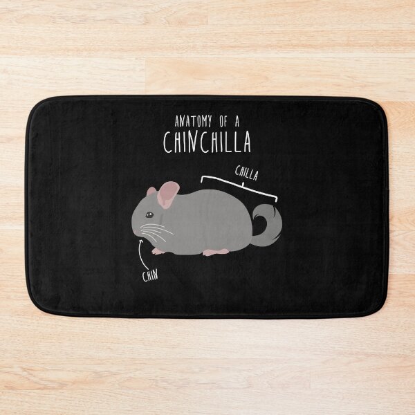 Item preview, Chinchilla Anatomy designed and sold by Clara Hollins.