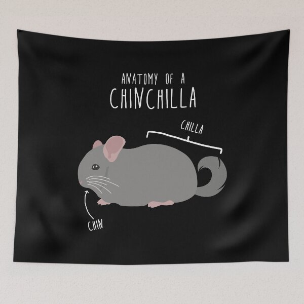 Item preview, Chinchilla Anatomy designed and sold by Clara Hollins.
