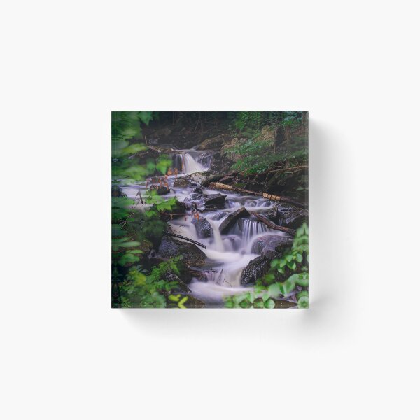 Artikelvorschau, Whispers of the Woods: Geheimnisse einer Kaskade V1 entworfen und verkauft von Family Journey with God.