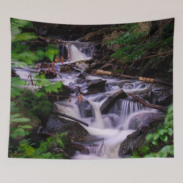 Item preview, Whispers of the Woods: Secrets of a Cascade V1 designed and sold by Family Journey with God.