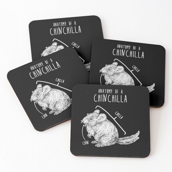 Item preview, Chinchilla Anatomy designed and sold by Clara Hollins.