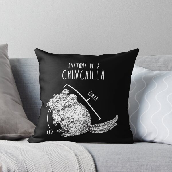 Item preview, Chinchilla Anatomy designed and sold by Clara Hollins.
