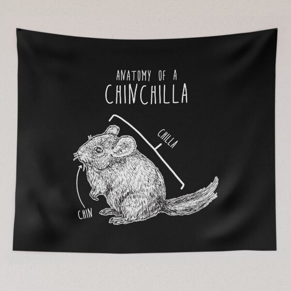 Item preview, Chinchilla Anatomy designed and sold by Clara Hollins.
