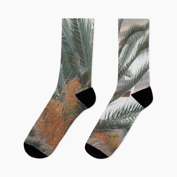 Item preview, Canary Island Palm Dream #1 #travel #wall #art designed and sold by Anita's & Bella's Art.
