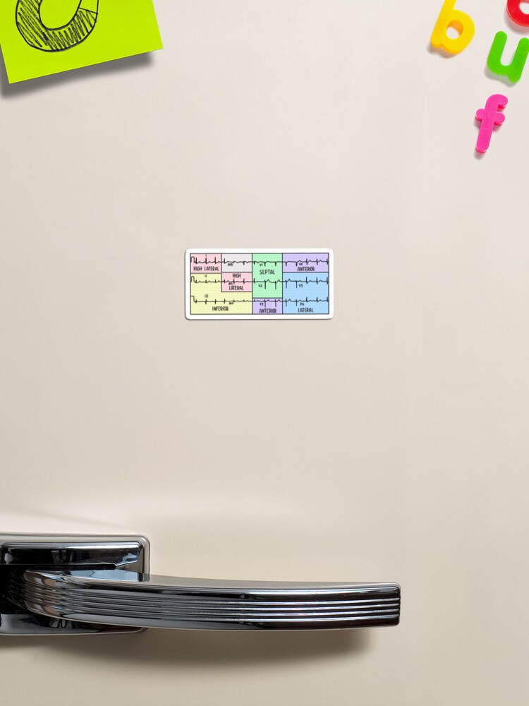 Thumbnail 1 of 3, Magnet, Hand Drawn 12 Lead Electrocardiogram (ECG) Pastel designed and sold by SofiaSava01.