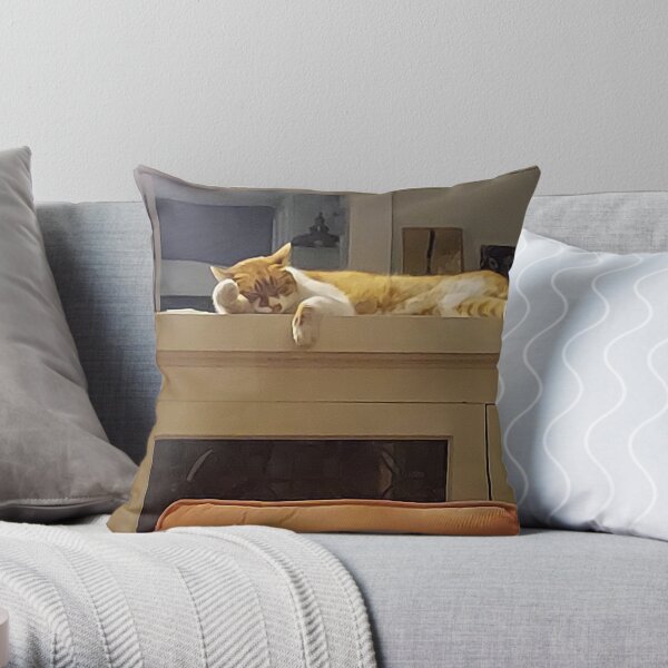 O'Malley the sleeping cat Throw Pillow