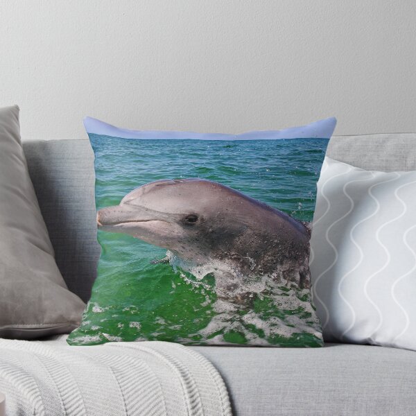 Item preview, Nikky the dolphin designed and sold by loza1976.