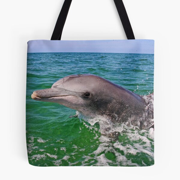 Item preview, Nikky the dolphin designed and sold by loza1976.