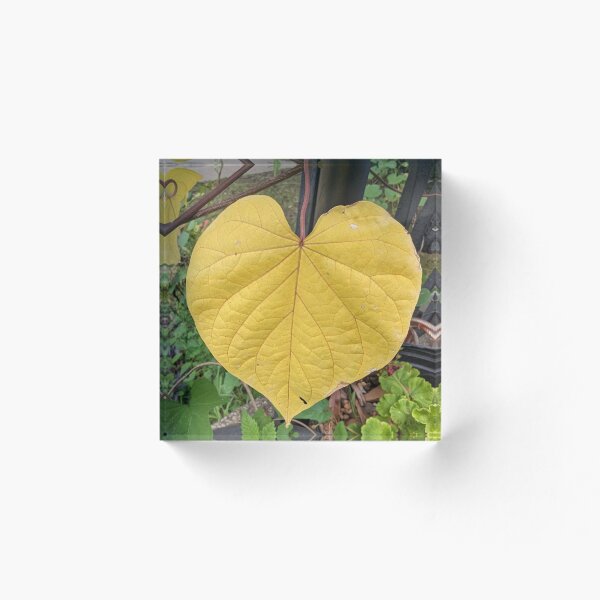 Item preview, Autumn Leaf designed and sold by JoyMurray.