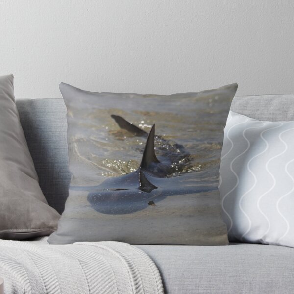 Item preview, shark in the shallows designed and sold by loza1976.