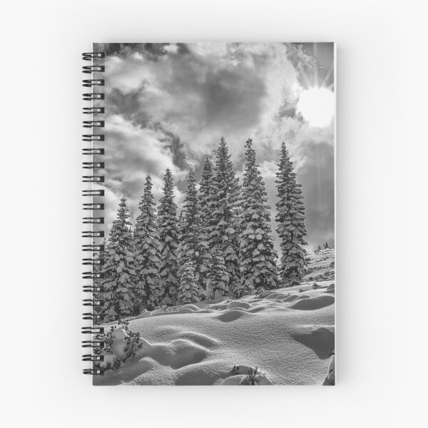 Item preview, It's Black and White designed and sold by Barry Buchholtz.