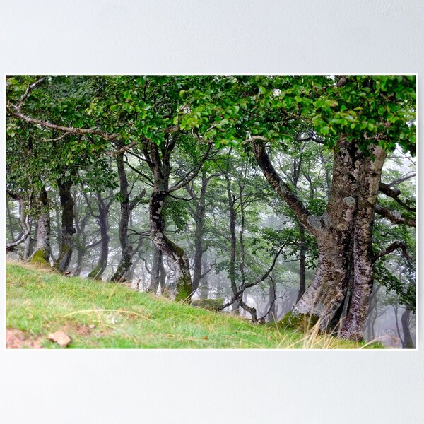 Item preview, Col de Bentarte  designed and sold by troianifabrizio.