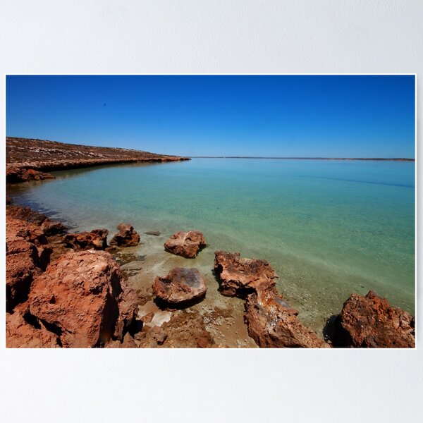 Item preview, Tamala Station, Shark Bay designed and sold by loza1976.