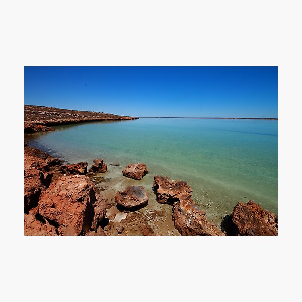 Item preview, Tamala Station, Shark Bay designed and sold by loza1976.