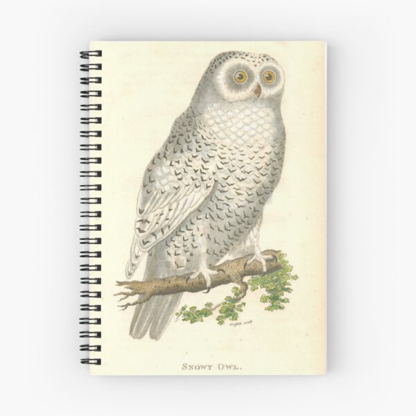Item preview, Snowy Owl Vintage Illustration 1808 George Kearsley and George Shaw - color designed and sold by ElegantTeaTime.