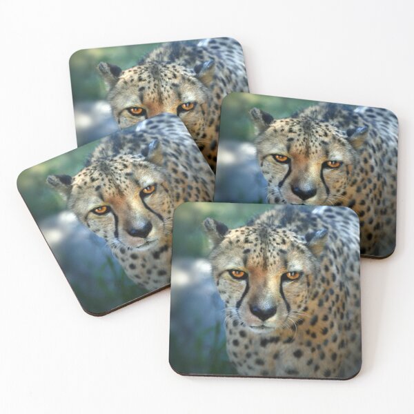 Item preview, Cheetah designed and sold by Savannah Gibbs.