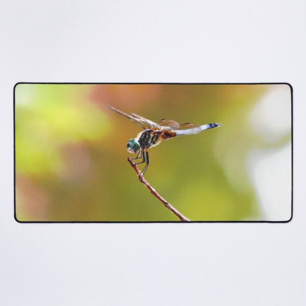 Item preview, Small blue dragonfly front left on twig designed and sold by gistinker.