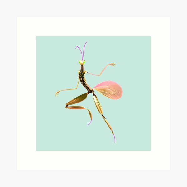 Item preview, Dancing Mantis designed and sold by Project2020.