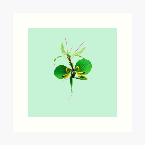 Item preview, Love Dance of a Praying Mantis designed and sold by Project2020.