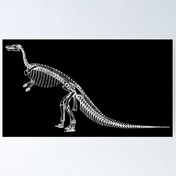 Item preview, Dinosaur skeleton bones 1 designed and sold by Marrio-Design.