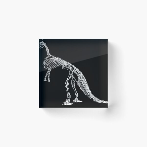 Item preview, Dinosaur skeleton bones 3 designed and sold by Marrio-Design.
