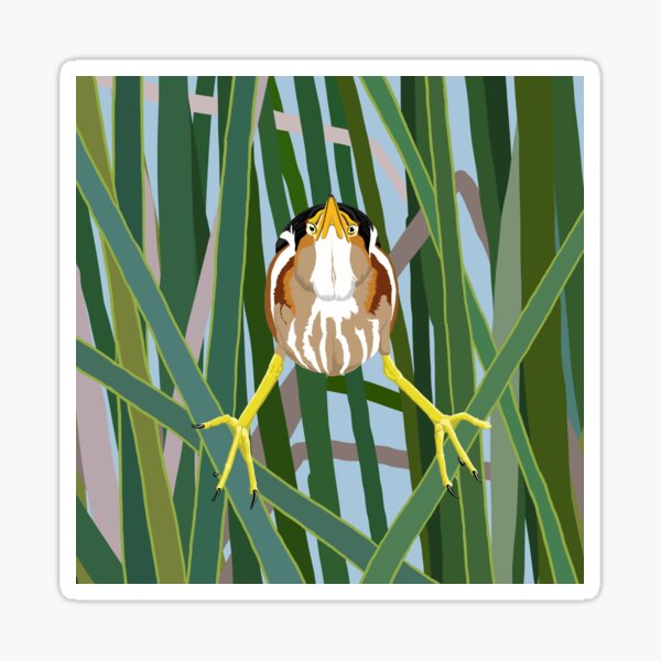 Artikel-Vorschau von Kleinster Bittern, designt und verkauft von BennuBirdy.
