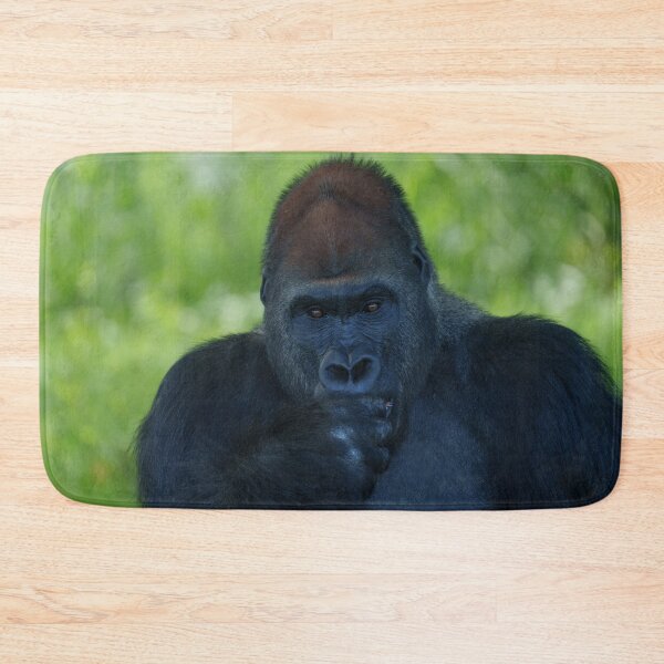 Item preview, Thumb-Sucking Silverback designed and sold by rawshutterbug.