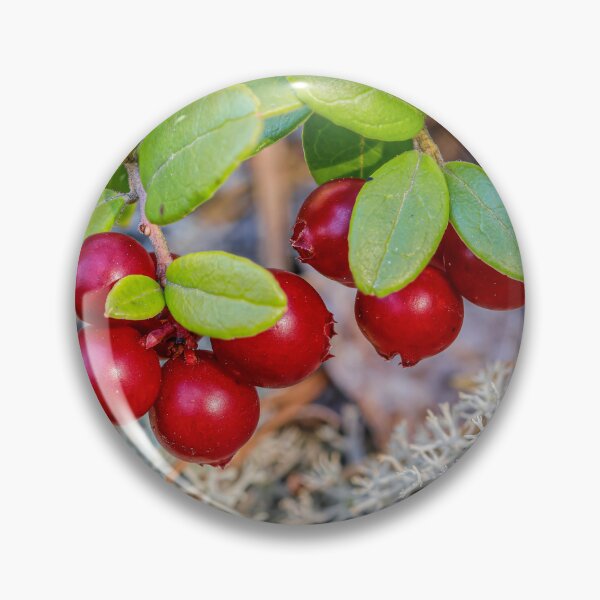Artikelvorschau, Preiselbeeren entworfen und verkauft von Veikko Suikkanen.