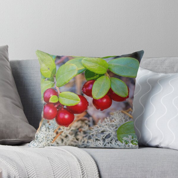 Item preview, Lingonberries designed and sold by Veikko  Suikkanen.