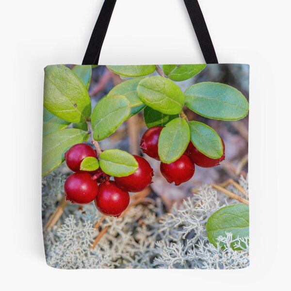 Artikelvorschau, Preiselbeeren entworfen und verkauft von Veikko Suikkanen.