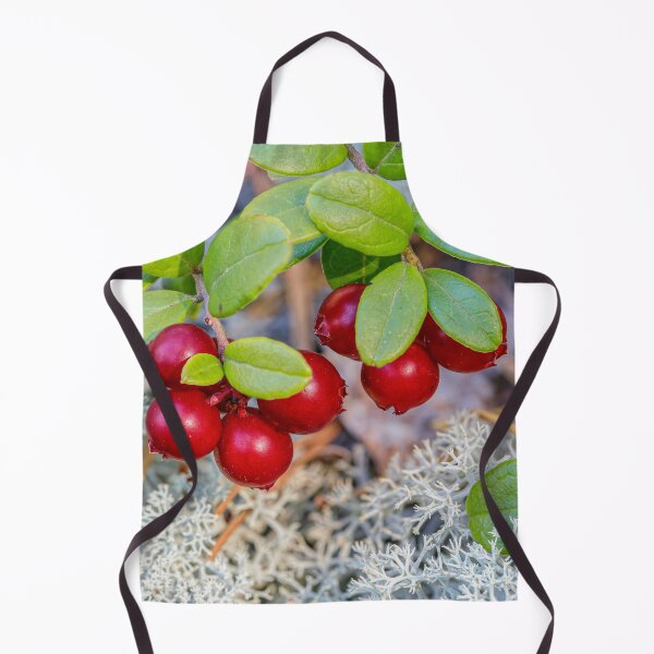 Artikelvorschau, Preiselbeeren entworfen und verkauft von Veikko Suikkanen.