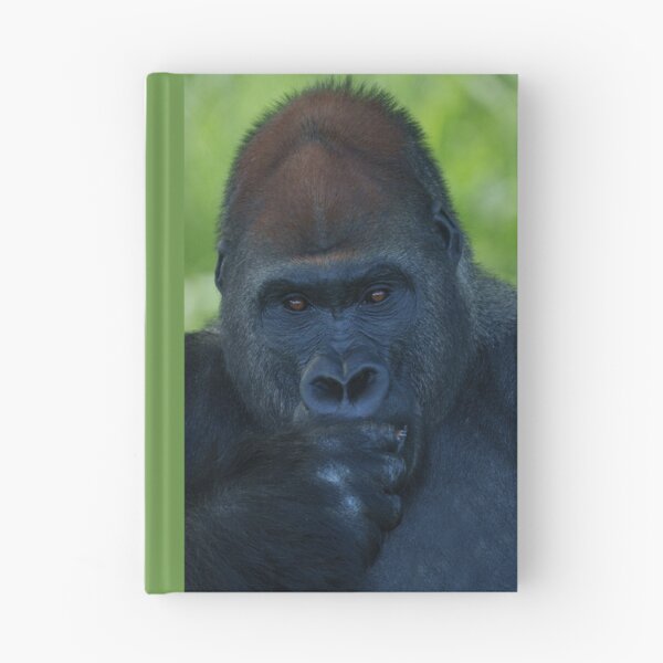 Item preview, Thumb-Sucking Silverback designed and sold by rawshutterbug.