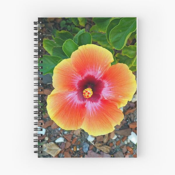 Item preview, Orange & Yellow Hibiscus 402 designed and sold by Strawflower Oasis.