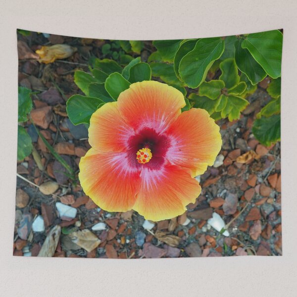 Item preview, Orange & Yellow Hibiscus 402 designed and sold by Strawflower Oasis.