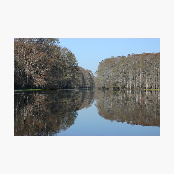 Artikelvorschau, Florida Fall entworfen und verkauft von Cheri Bouvier-Johnson.