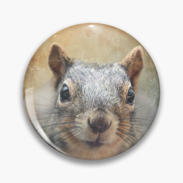 Item preview, Chubby Squirrel 02 designed and sold by Elisabeth Lucas.