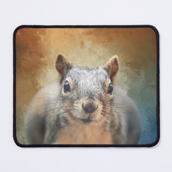 Item preview, Chubby Squirrel 02 designed and sold by Elisabeth Lucas.
