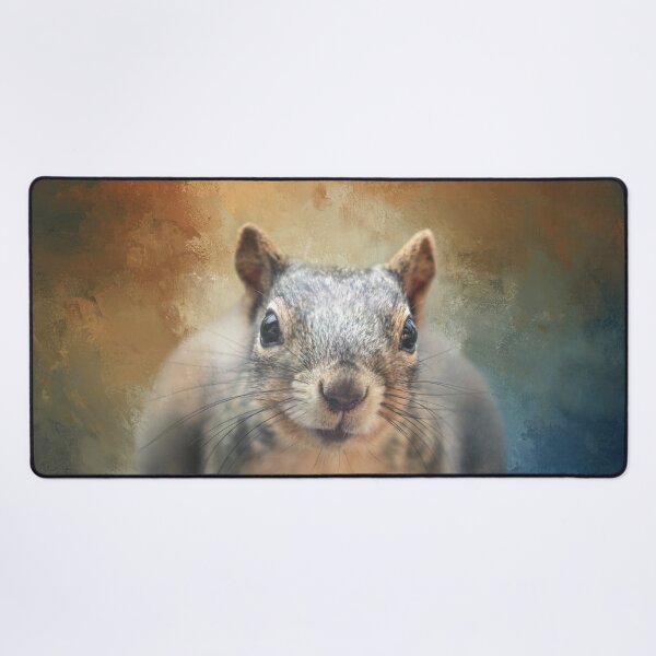 Item preview, Chubby Squirrel 02 designed and sold by Elisabeth Lucas.